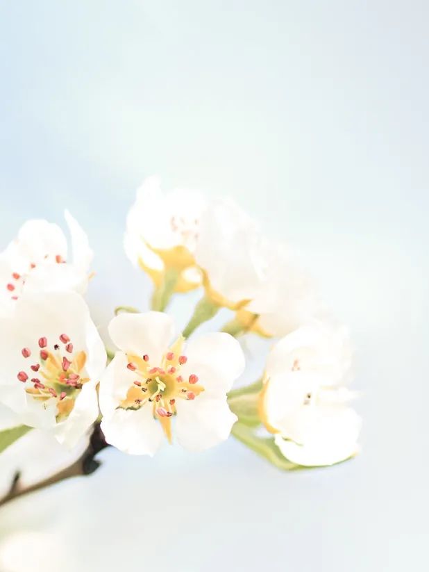 家裝 | 窗戶漏水，堵上就行嗎？